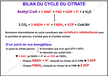 Capture d’écran 2011-12-09 à 10.36.21.png