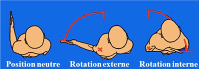 Capture d’écran 2021-01-17 à 14.38.38.png