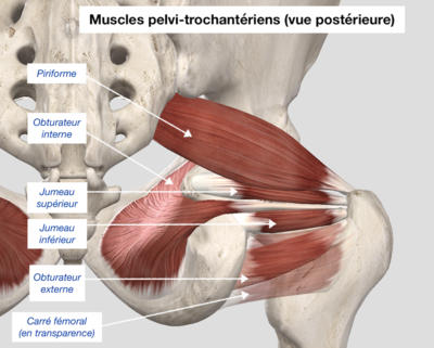 Capture d’écran 2021-01-17 à 15.16.06.png