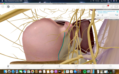 Capture d’écran 2021-01-21 à 11.57.12.png