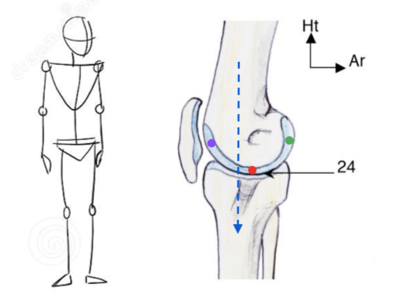 Capture d’écran 2021-01-21 à 16.01.14.png