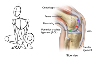 Capture d’écran 2021-01-21 à 16.08.10.png