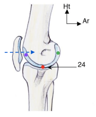 Capture d’écran 2021-01-21 à 16.10.25.png