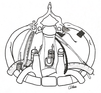 Capture d’écran 2021-01-22 à 19.47.16.png