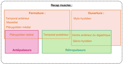 Capture d’écran 2020-12-27 à 18.37.11.png