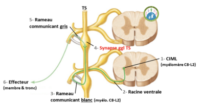 Capture d’écran 2021-01-23 à 10.49.13.png