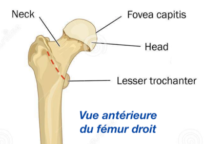 Capture d’écran 2021-01-24 à 20.00.52.png
