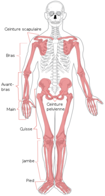 Capture d’écran 2021-01-25 à 10.45.39.png