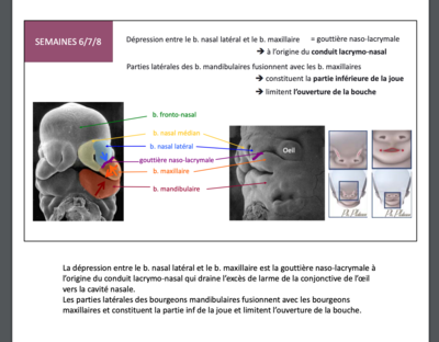 Capture d’écran 2021-01-25 à 11.10.36.png