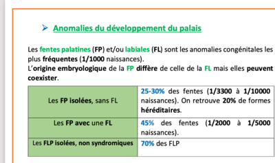 Capture d’écran 2021-01-28 à 09.34.22.png