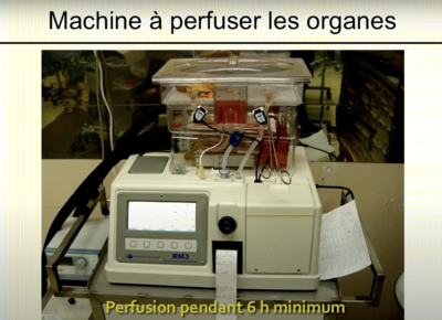 Capture d’écran 2021-01-28 à 18.17.13.png