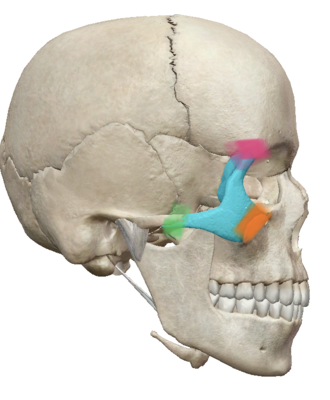 Capture d’écran . 2021-01-29 à 12.01.47.png