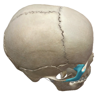 Capture d’écran . 2021-01-29 à 12.02.48.png