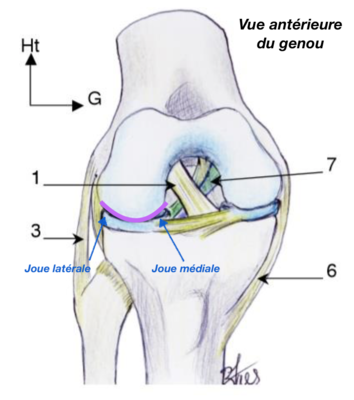 Capture d’écran 2021-01-29 à 12.08.35.png
