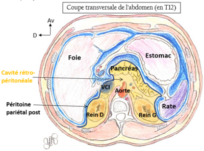 T12.PNG (373.19 Kio) Vu 681 fois T12.PNG