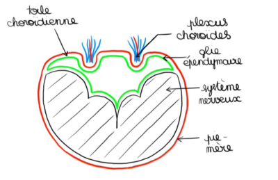 Capture d’écran 2021-01-31 à 23.13.15.png
