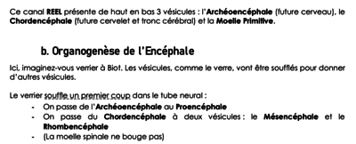 Capture d’écran 2021-02-02 à 23.17.15.png