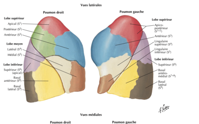 Capture d’écran 2021-01-29 à 09.54.45.png