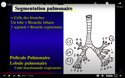 Capture d’écran 2021-02-04 à 11.49.52.png