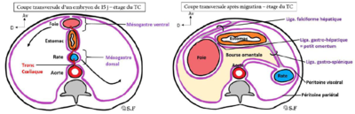 Migrations.PNG (421.89 Kio) Vu 169 fois Migrations.PNG