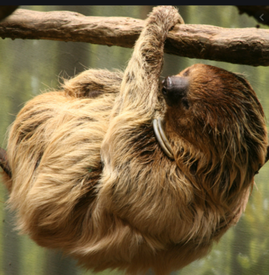 Screenshot 2021-02-07 at 13.25.03.png