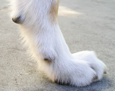 Screenshot 2021-02-07 at 13.28.22.png