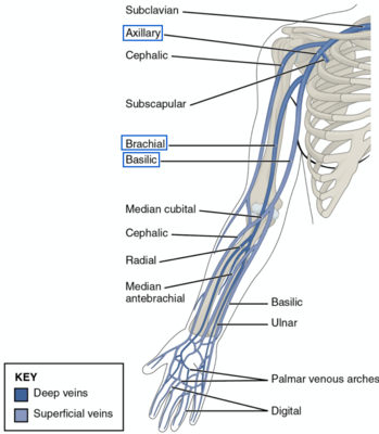 Capture d’écran 2021-02-07 à 18.47.11.png