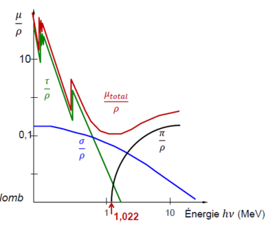 Interactions des photons - biophy.PNG