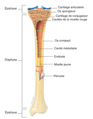 Capture d’écran 2021-02-09 à 15.02.20.png