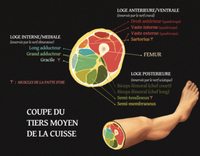 Capture d’écran 2021-02-09 à 18.40.17.png