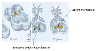 Capture d’écran 2021-02-12 à 09.51.03.png