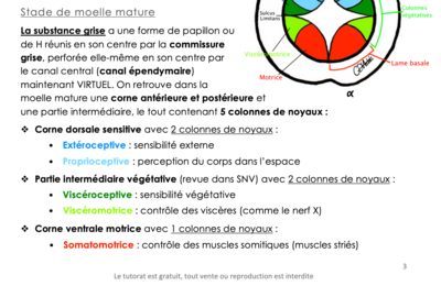 Changement de version page 3.png