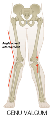 Capture d’écran 2021-02-13 à 11.19.30.png