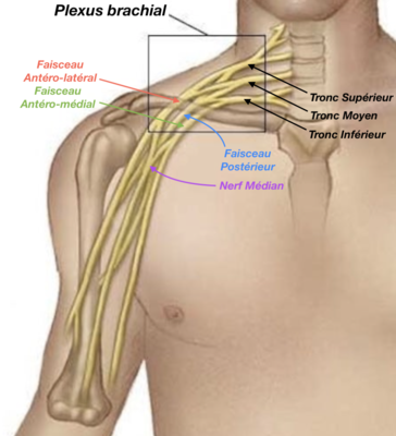 Capture d’écran 2021-02-13 à 11.56.33.png