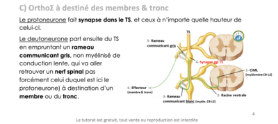 Capture d’écran 2021-02-18 à 21.12.40.png