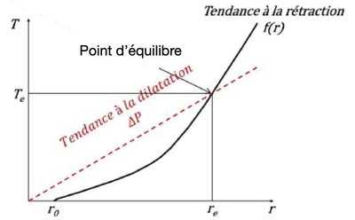 vaisseaux élastiques.jpg