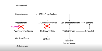 Schéma bloc 21OH.png