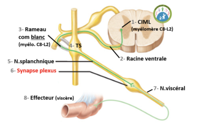 Capture d’écran 2021-02-25 à 20.53.03.png