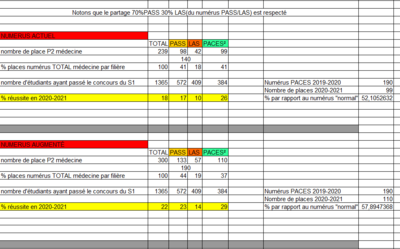 numérus actuel et numérus augmenté.png
