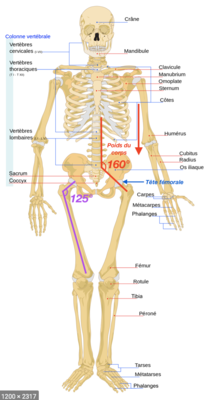 Capture d’écran 2021-02-25 à 12.00.50.png