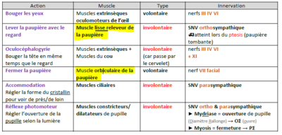 tableau paupière.PNG