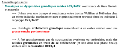 Dysgénésies mixtes.png