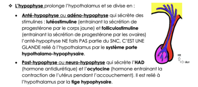 Capture d’écran 2021-02-27 à 15.11.19.png