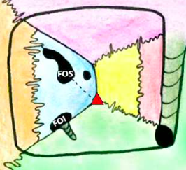 Capture d’écran 2021-02-28 à 23.53.01.png