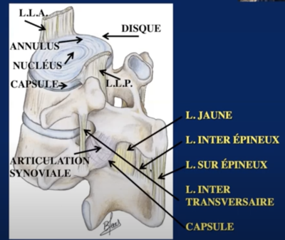 Capture d’écran 2021-03-01 à 11.23.11.png
