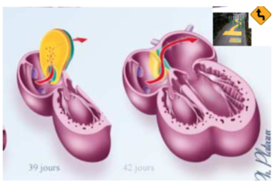 Capture d’écran 2021-03-03 à 17.50.46.png