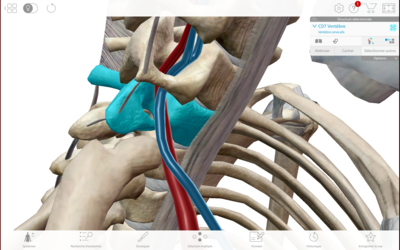 Capture d’écran 2021-03-04 à 09.02.37.png