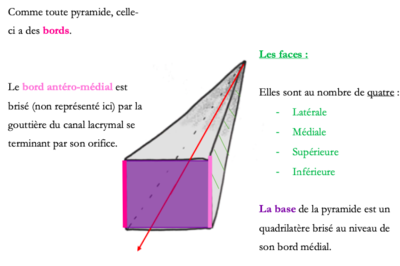 Capture d’écran 2021-03-05 à 11.36.17.png