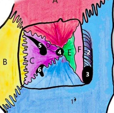 Capture d’écran 2021-03-05 à 11.46.04.png