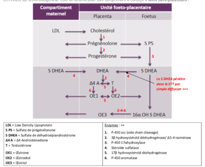 Capture d’écran 2021-03-03 à 20.29.37.png